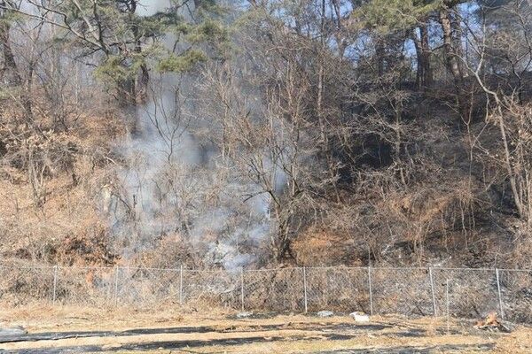 대전 동구 산불 / 동부소방서 제공