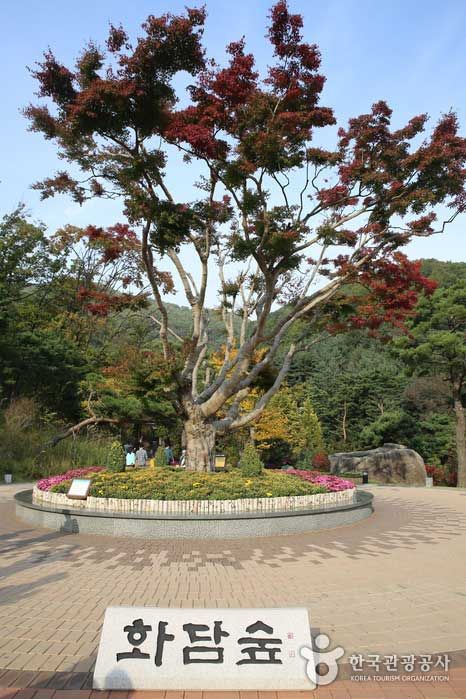 서울근교 경기도 단풍여행지, 화담숲 (사진출처=한국관광공사)