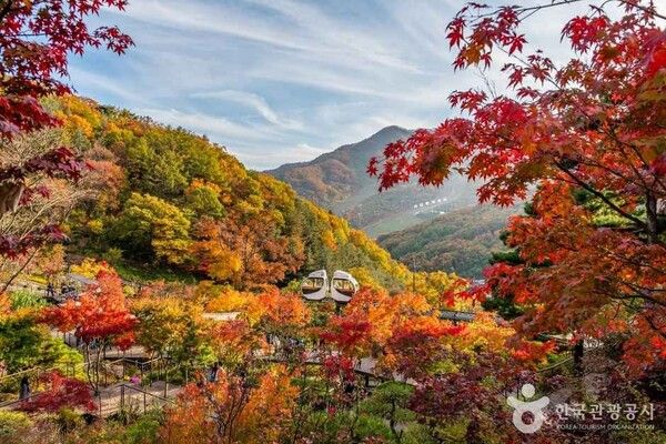 서울근교 경기도 단풍여행지, 화담숲 (사진출처=한국관광공사)