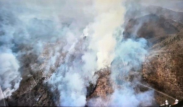 포항 산불 /경북소방본부 제공