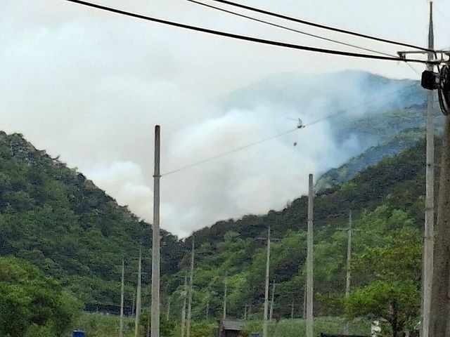 영덕 산불 [사진=산림청 제공]