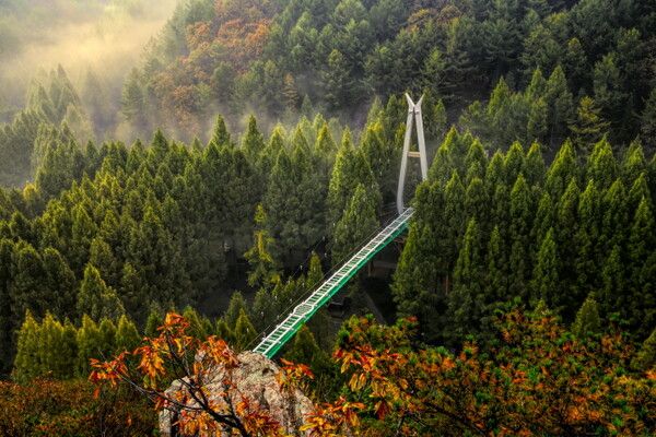 대전 장태산자연휴양림 (사진출처=한국관광공사)