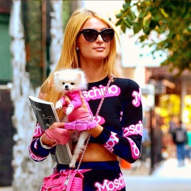 사진 출처: 패리스 힐튼 인스타그램