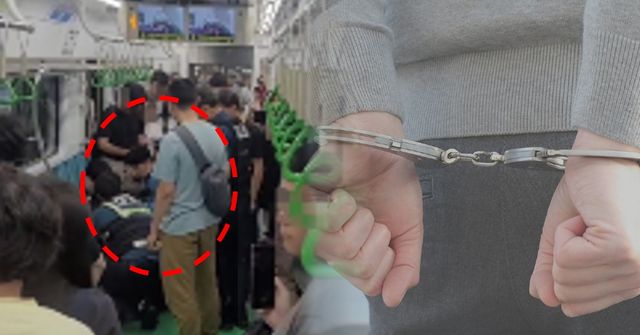 사진=디시인사이드 교통갤러리, 픽사베이