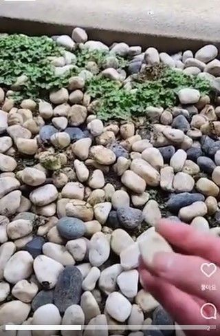 사진=오재원 라이브방송 화면 캡쳐