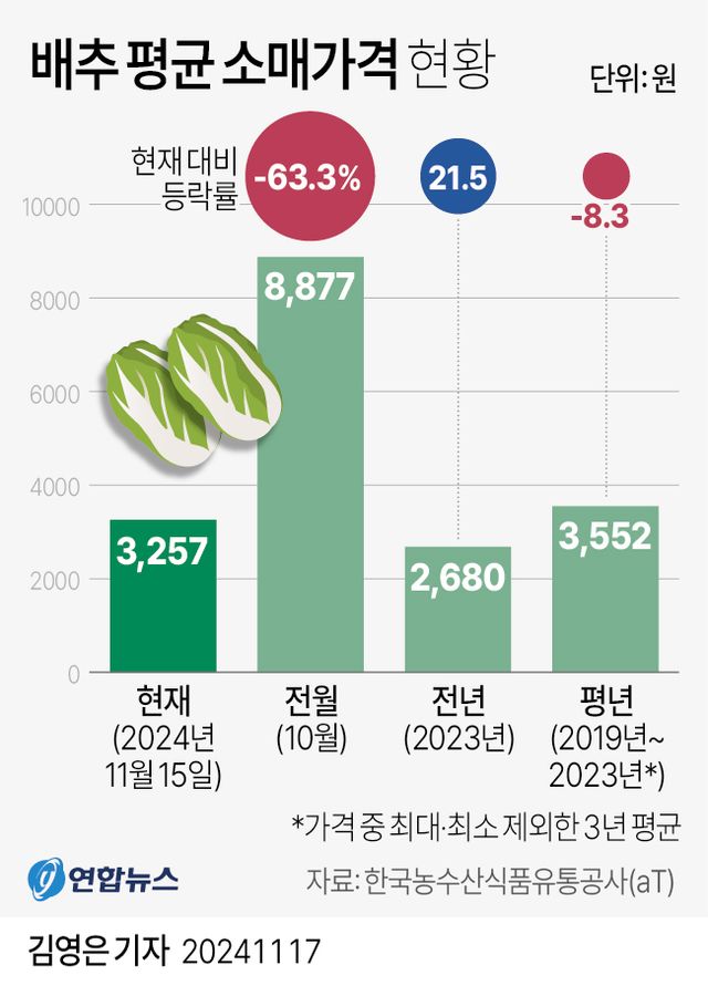 가을배추 출하·할인 확대에…배춧값&nbsp;한달새 63% 떨어져[연합뉴스]