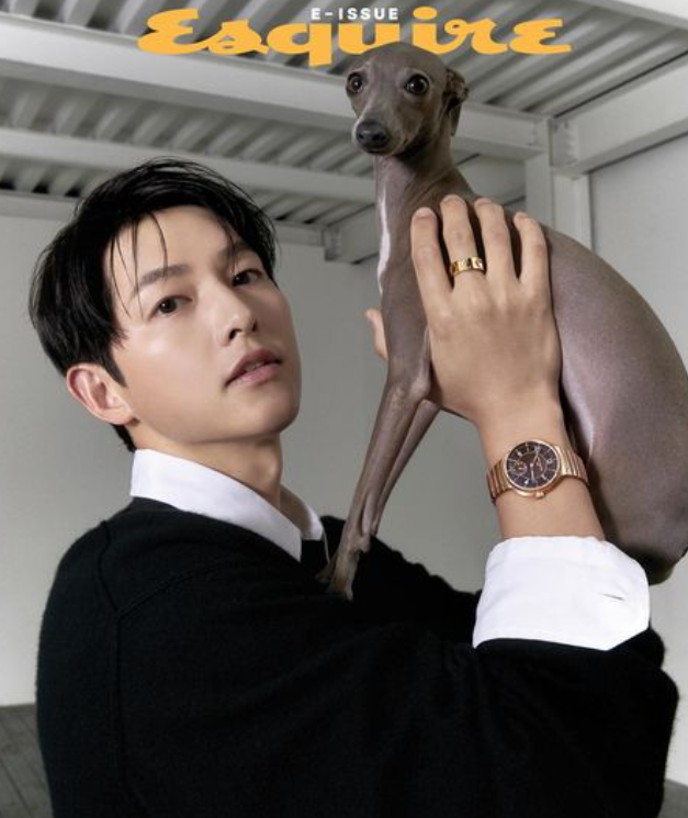 사진=송중기 공식 sns