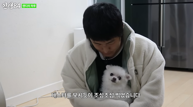 사진=유튜브 채널 '인생84'