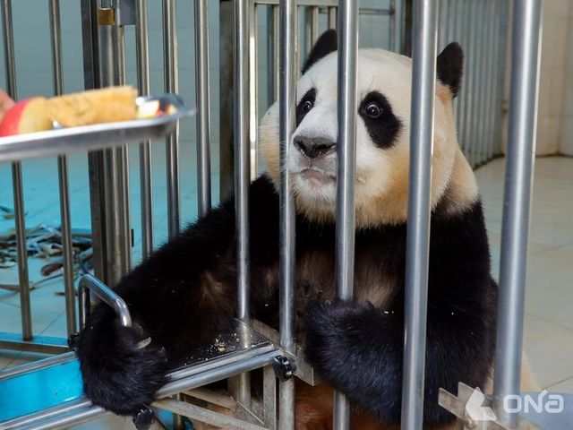 사진=신화통신&nbsp;