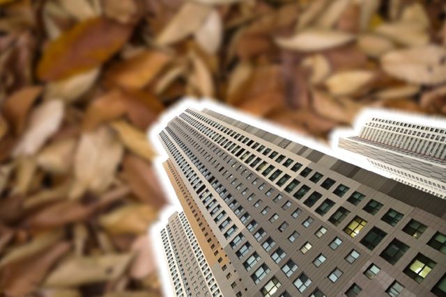 사진=기사와 관계없는 사진&nbsp;