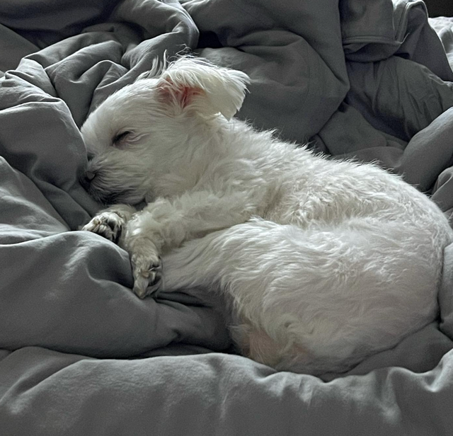 &nbsp;사진=최진혁SNS