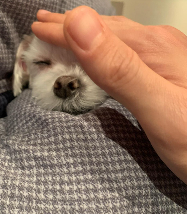 &nbsp;사진=최진혁SNS