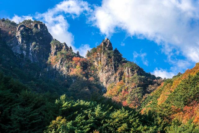동해시가 여행경비 시원하게 쏜다…최고&nbsp;50만원&nbsp;현금 지급[연합뉴스]