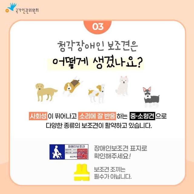 청각장애인&nbsp;돕는 작은 개, 보조견입니다…식당 출입 막으면 불법[연합뉴스]