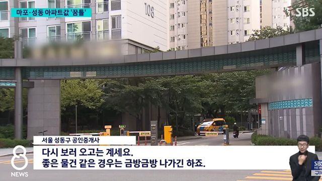 사진=SBS뉴스