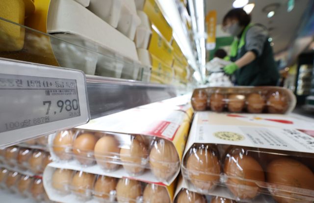 계란 다시 7천원대…산란계&nbsp;300만마리 살처분, 수급 불안 우려(종합)[연합뉴스]