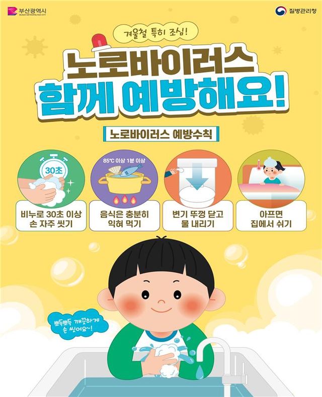 노로바이러스 감염환자 최근 10년새 최고…