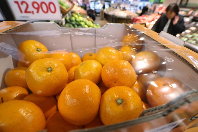 공급부족에&nbsp;배추·무&nbsp;가격 강세…정부 