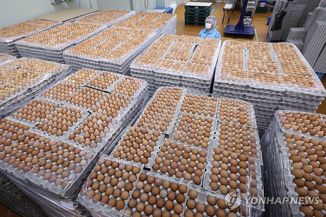'K-달걀' 미국 식탁에 더많이 오른다…美 