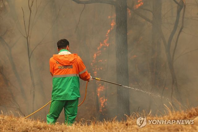 대형 산불 내면&nbsp;손해배상&nbsp;모두 책임진다?[연합뉴스]
