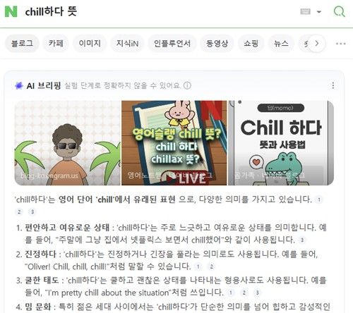 '칠가이' 배경 한눈에…AI&nbsp;검색&nbsp;요약시대 '성큼'[연합뉴스]