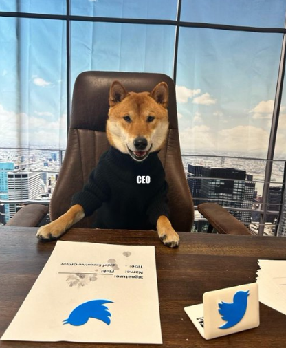 사진=일론머스크SNS