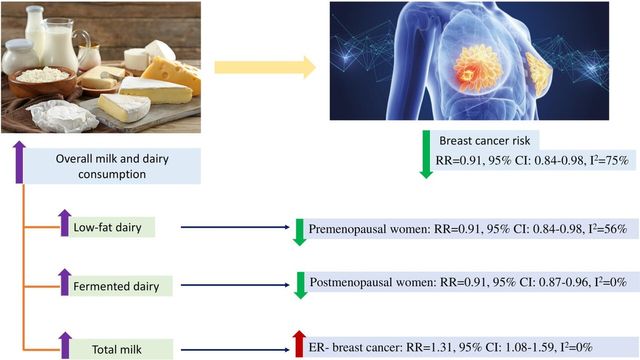 우유, 마음껏 마셔볼까?…유제품과&nbsp;유방암의 '숨겨진 진실'[연합뉴스]