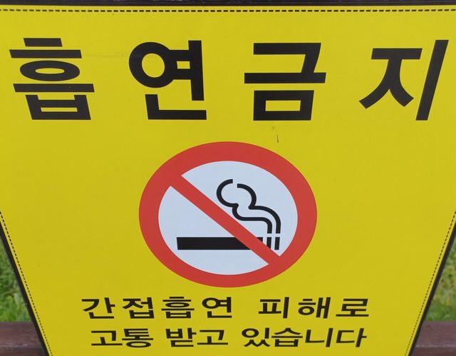 건보&nbsp;담배소송&nbsp;변론 앞두고 여론전…암센터·폐암학회 등 지지[연합뉴스]