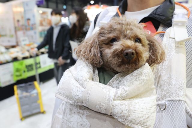 '동물병원&nbsp;진료비&nbsp;병원 내부에 게시'…정부, 시행규칙 개정[연합뉴스]