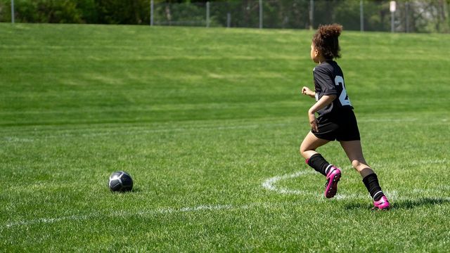 사진=픽사베이 / 기사와 관련없는 이미지