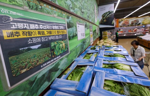 2018년·작년처럼…채소·과일 두자릿대 '히트플레이션' 주의보[연합뉴스]