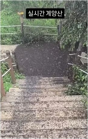 사진=온라인 커뮤니티&nbsp;