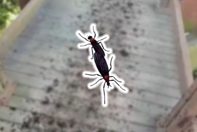 사진=나남뉴스&nbsp;