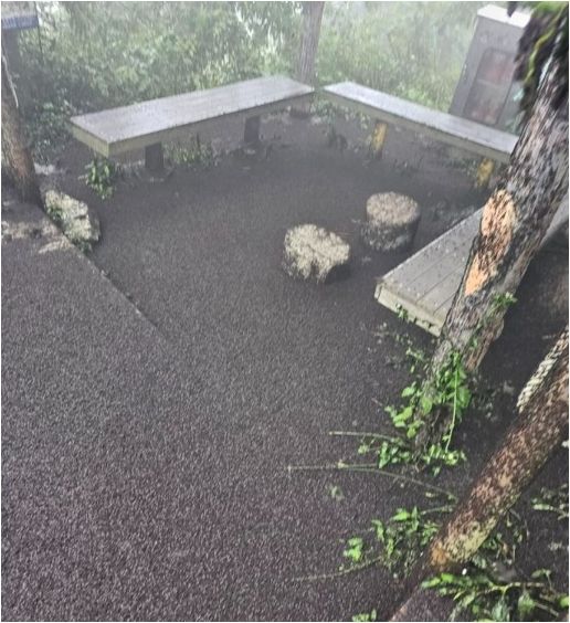 사진=온라인 커뮤니티&nbsp;