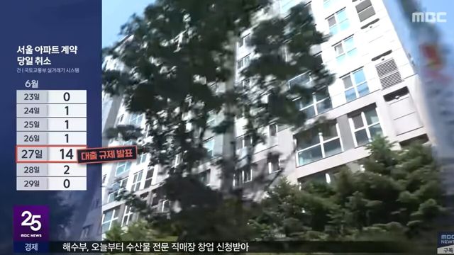 사진=MBC뉴스