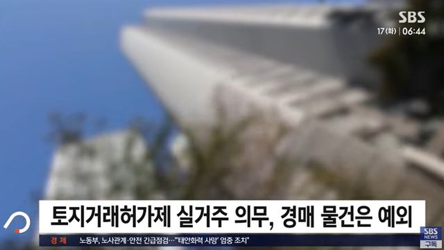 사진=SBS뉴스