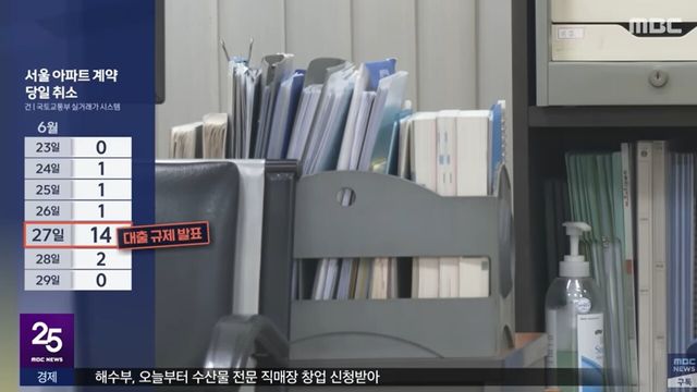 사진=MBC뉴스