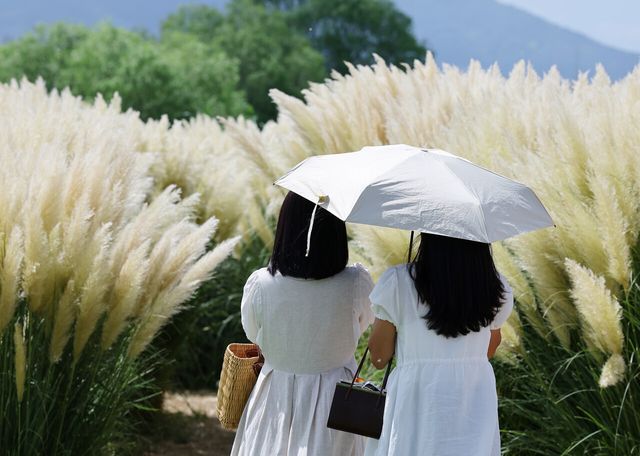 '처서 매직'은 그저 희망사항…