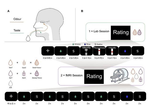 후각이&nbsp;뇌를 속인다…