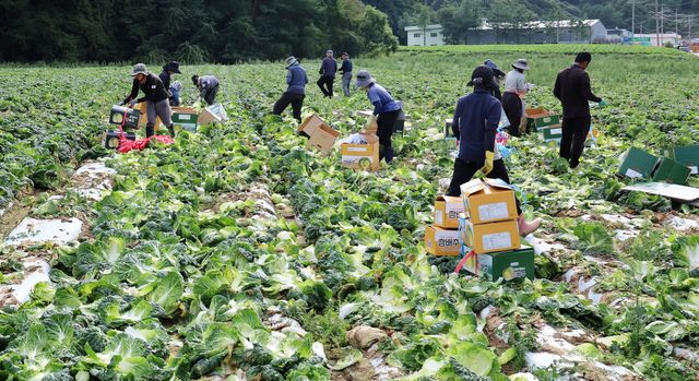 농식품부, '농어촌&nbsp;기본소득' 시범사업 대상지 공모[연합뉴스]