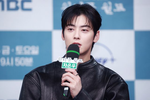 차은우, '200억 탈세' 의혹에 