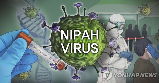 치명률 최대 75%&nbsp;니파바이러스…