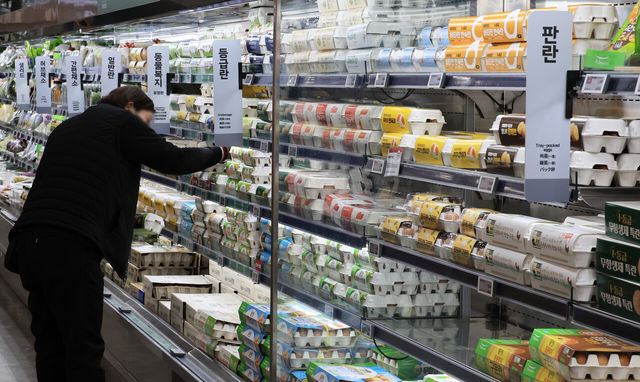 농식품부, 돼지고기·계란 할인 지원…