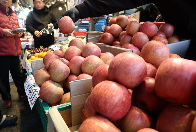 설&nbsp;앞두고&nbsp;과일·고기·생선·쌀값 올라…정부 할인 지원[연합뉴스]