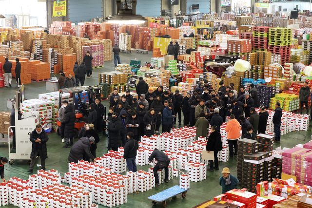 설&nbsp;앞두고&nbsp;과일·고기·생선·쌀값 올라…정부 할인 지원[연합뉴스]