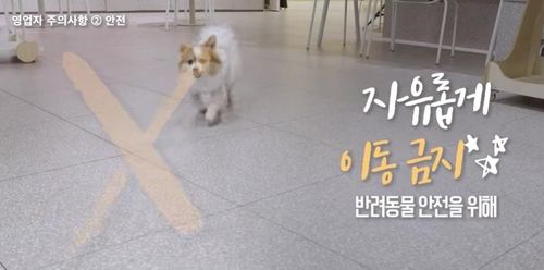 3월부터&nbsp;반려동물&nbsp;음식점·카페 동반출입 허용…