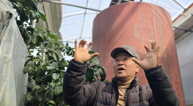 최고가격제에도&nbsp;농업용 난방유 18일째 올라…농산물 상승 압박(종합)[연합뉴스]