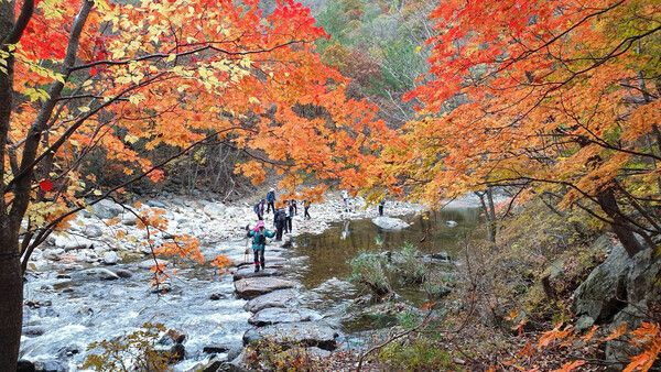 지난해 인제천리길 (사진 출처 : 인제군)