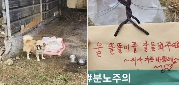 유기견 봉봉이와 견주 메모 (사진출처 : 동물보호연대 SNS)