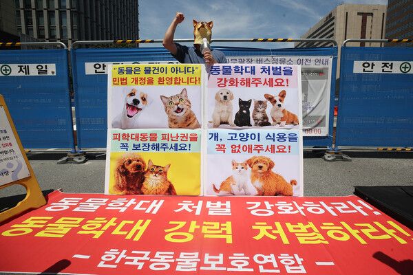 '동물은 물건이 아니다' (사진 출처 : 연합뉴스)